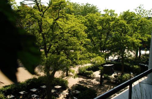 Huygenspark Apartment | Treetop Apartment