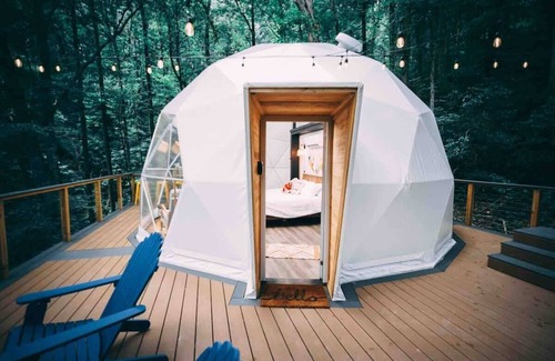 Tigerville Apartment | Treetop Getaway w/Hot Tub Peaceful retreat