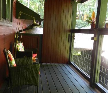 Maggie Valley Apartment | Treetops
