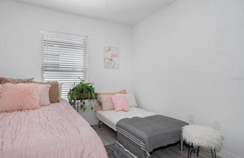 Sulphur Springs Apartment | Trendy 2 bed 2 bath Heart of Tampa Unit B
