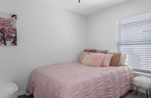 Sulphur Springs Apartment | Trendy 2 bed 2 bath Heart of Tampa Unit B