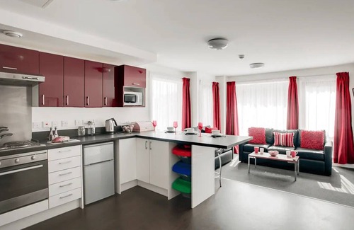 Birmingham Apartment | Trendy Room in Birmingham