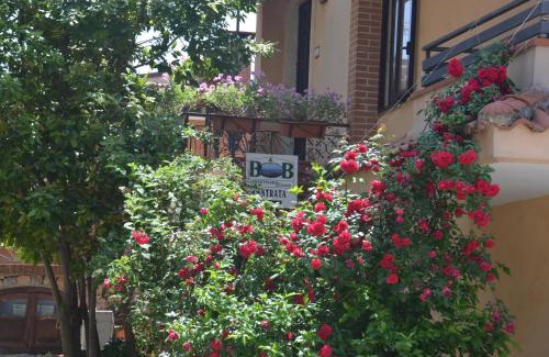 Trentinara Bed & Breakfast | Trentinara Cilento