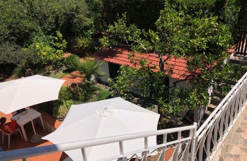 Tellaro Bed & Breakfast | Trigliano
