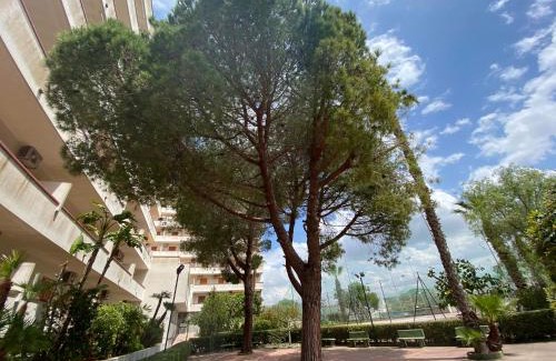 Rivabella Apartment | Trilocale sul mare