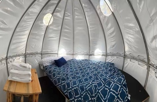 West Glacier Resort | Triple G’s Resort - Sky Dome 4