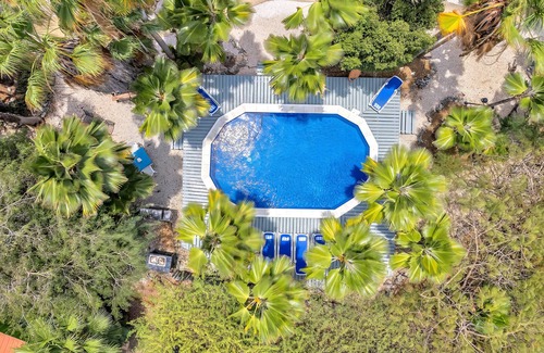 Playa Hotel | Tropical Divers Resort