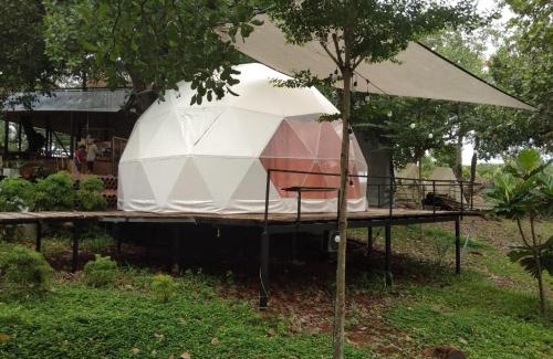 Dinh Quan Other | Tropical eglamping