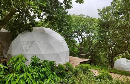 Dinh Quan Other | Tropical eglamping