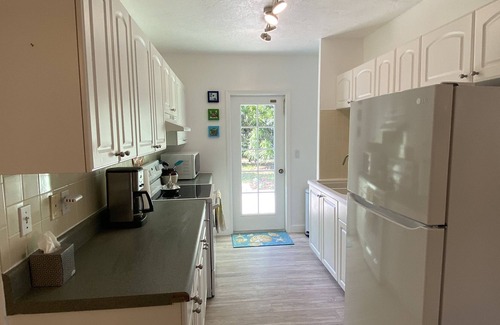 Alta Vista House | Tropical garden home-walk to downtown, 5 minutes to beaches, DOG friendly