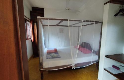 Tangalle House | Tropical Garden
