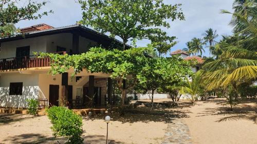 Tangalle House | Tropical Garden