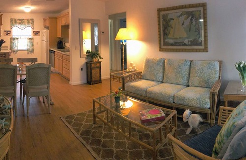 Rio House | Tropical painter and writer retreat