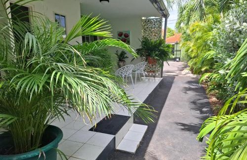 Willemstad Apartment | Tropical Palm Retreat