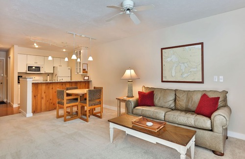 Harbor Springs Condo | Trout Creek Condo #57 - 2 Bedrooms 2 Baths, 3 TV's w/Streaming