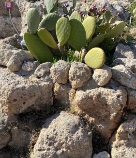 Impalata House | TRULLO ELVIRA & LUIGI