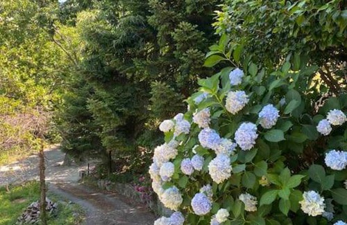 Tsagarada House | Tsagarada's friends and family cottage