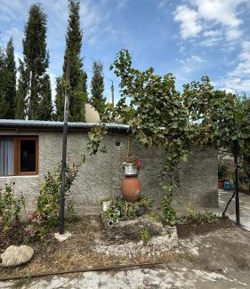 Tsinandali House | Tsinandali Wine cellar