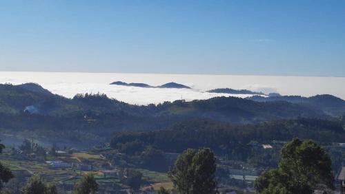Ooty Resort | Tulips Valley View Resorts