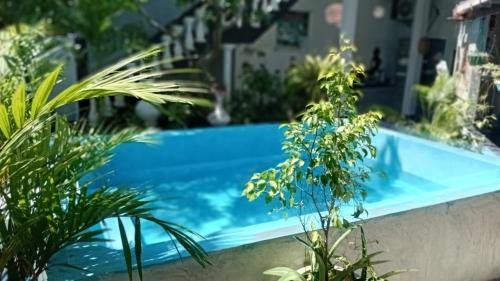 Thalaramba House | Turtle Village Guest Mirissa