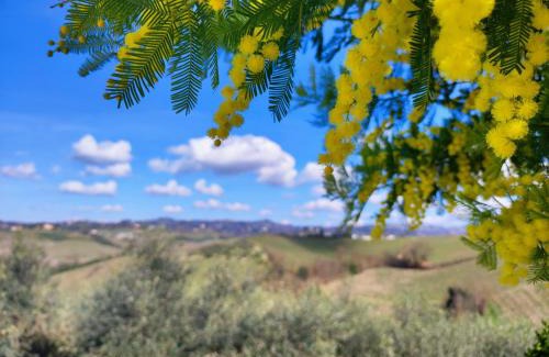 Certaldo Apartment | Tuscany Hills La Veduta