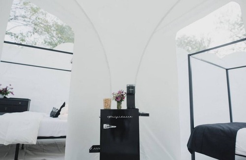 Westminster House | "Twilight" Inflatable Dome with Star/Sunset Views