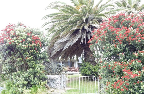 Waikanae House | Twin Palms - Free cleaning,wifi and breakfast, linen and goody basket