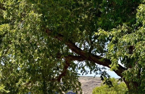 Sunland Estates House | Two bedroom house in United States of America, Quincy