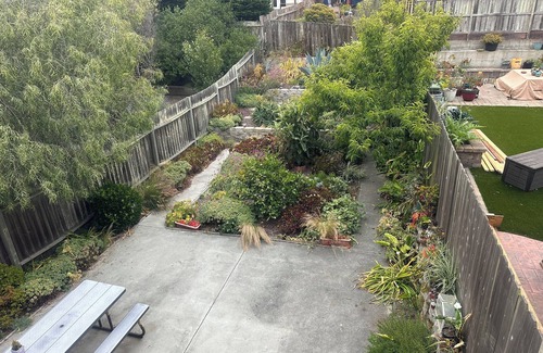 Golden Gate Condo | Two bedrooms with private bathrooms by Golden Gate Park & Ocean Beach