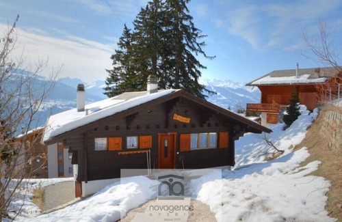 Anzere Ski Chalet | Two floors chalet:GROUND FLOOR: 2 showers room/WC and 3 bedrooms. The first bedroom has 2 bunk beds