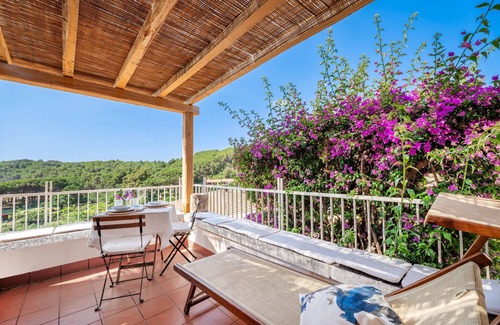 Fetovaia Apartment | Two-room apartment Montecristo