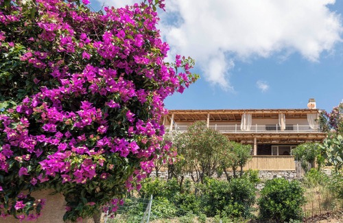 Fetovaia Apartment | Two-room apartment Montecristo