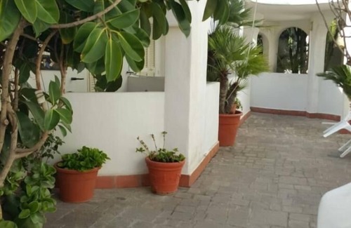 Anzio Apartment | Two-room apartment, terrace, sea view, mezzanine, first floor