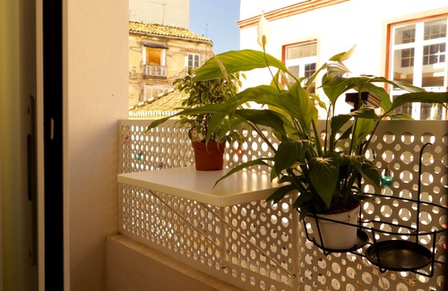 El Ejido Apartment | Two Suites Apartment in the center of Málaga