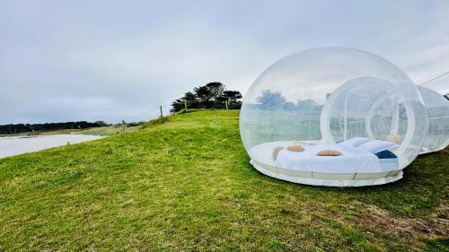 Ploudalmezeau House | TY BULLE - Logement insolite les pieds dans l'eau