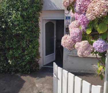 Belz House | Ty Cado