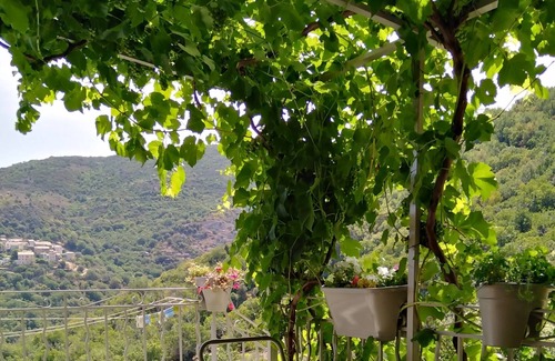 Sorio House | typical Corsican village house in the heart of Nebbio