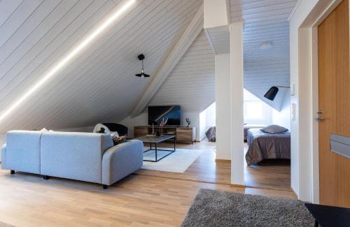 Downtown Kuopio Apartment | Tyylikäs ja tilava kattohuoneisto ydinkeskustassa