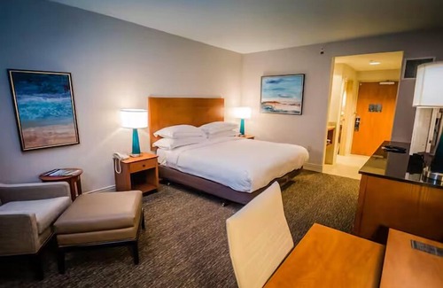 St. Petersburg - Clearwater Hotel | Ultimate Comfort Getaway| Infinity Pool, Waterfront Dining | 2 Units
