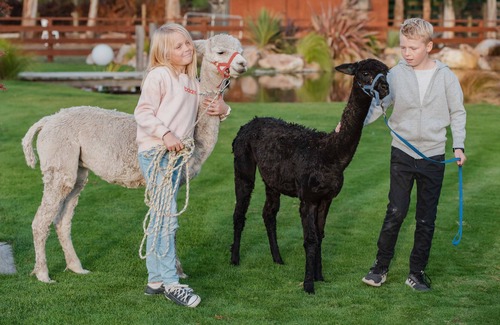 Prebbleton House | Ultimate Luxury Farm-Stay