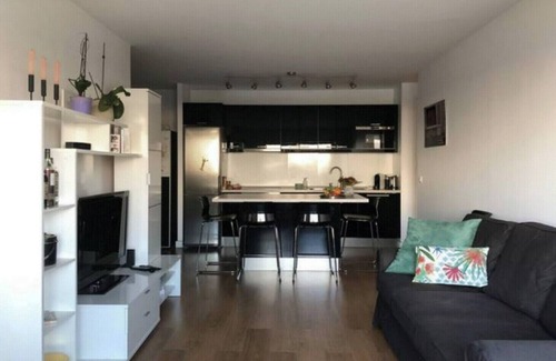Combat Apartment | Un nid à Paris/60m2 - 3 rooms
