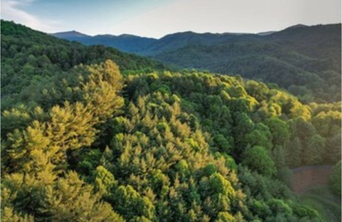 Valle Crucis Cabin | Uncle Earl's Haven at Heritage Hill!