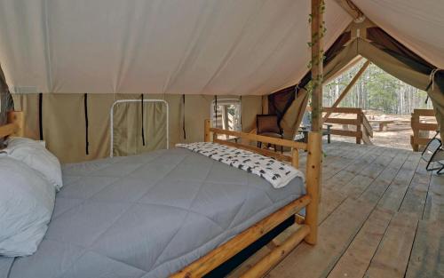Suches Other | Unforgettable Georgia Glamping: Safari Tent Retreat in Suches