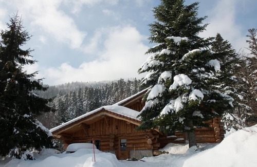 La Bresse Ski Chalet | Unique à La Bresse chalet rondins de 220 m², groupe, famille, wifi, proche pistes