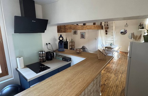 Old Town Apartment | Unique apartment in the historic heart of Troyes - Ruelle des chats/rue Champeaux