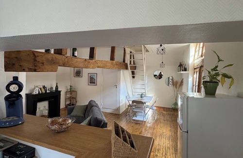 Old Town Apartment | Unique apartment in the historic heart of Troyes - Ruelle des chats/rue Champeaux