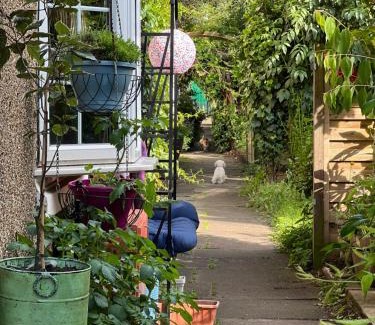 Cricklewood House | UNIQUE beautiful peaceful conservation area - 20m to town