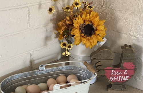 Lindsay House | Unique Farm stay at a Petting Zoo