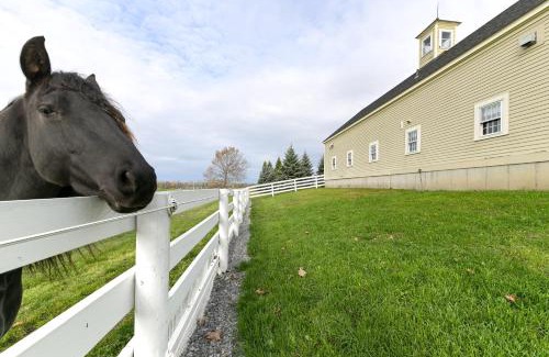 Geneva House | Unique Finger Lakes Converted Horse Barn with Patio!