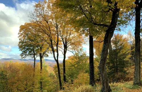 Warren House | Unique mountain side home 1 mile from Sugarbush Ski & Golf Resort
